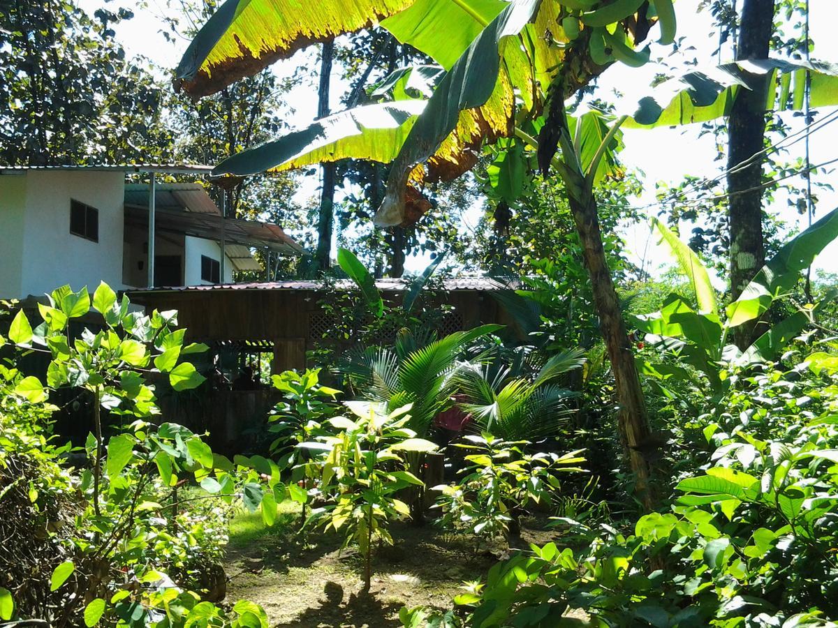 Osa De Rio Hotel Uvita Kültér fotó