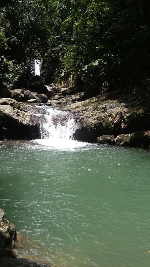 Osa De Rio Hotel Uvita Kültér fotó